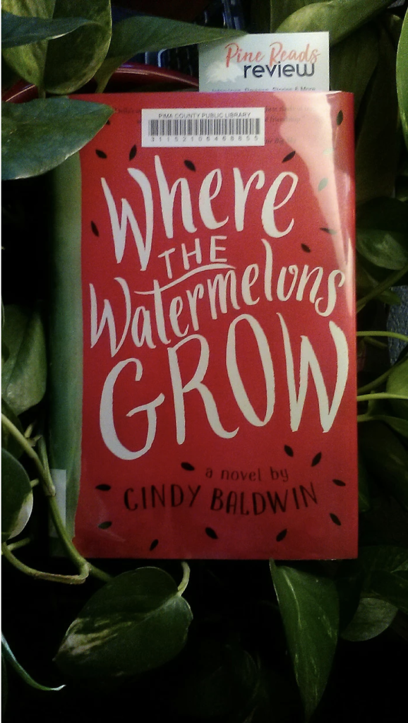 where the watermelons grow cindy baldwin
